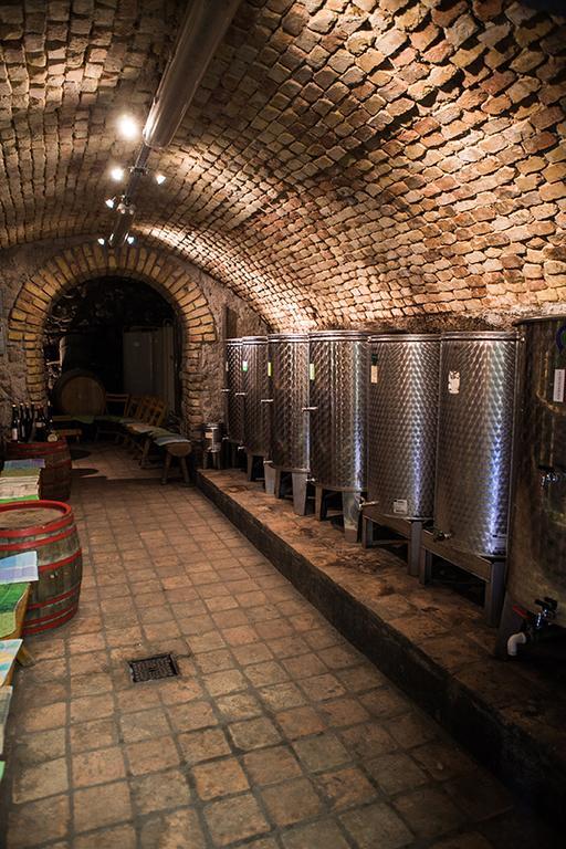Borbaratok Panzio Hotel Badacsonytomaj Luaran gambar